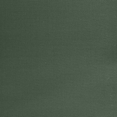 Оксфорд (Oxford) 240D 19-5917, PU/WR, 115 гр/м2, шир.150см, цвет т.зелёный - купить в Элисте. Цена 152.54 руб.