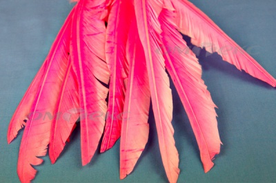 Декоративный Пучок из перьев, перо 25см/розовый - купить в Элисте. Цена: 14.40 руб.