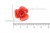 Украшение "Розы малые №1" 20мм - купить в Элисте. Цена: 32.49 руб.
