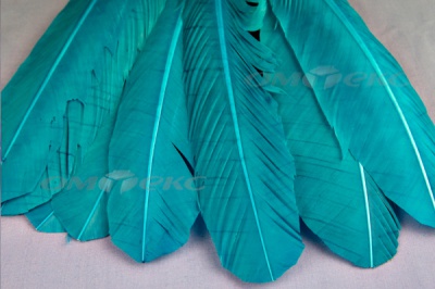 Декоративный Пучок из перьев, перо 24см/голубой - купить в Элисте. Цена: 12.19 руб.