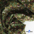 Ткань костюмная «Микровельвет велюровый принт», 220 г/м2, 97% полиэстр, 3% спандекс, ш. 150См Цв  #9 - купить в Элисте. Цена 439.76 руб.