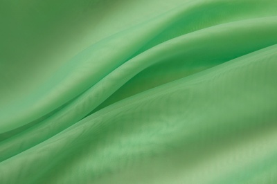 Портьерный капрон 15-6123, 47 гр/м2, шир.300см, цвет св.зелёный - купить в Элисте. Цена 137.27 руб.