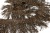 008-коричневый, Бахрома арт.001 шир.10см (упак.12+/-0,5м) - купить в Элисте. Цена: 1 017.33 руб.