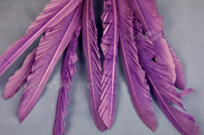 Декоративный Пучок из перьев, перо 25см/фиолетовый - купить в Элисте. Цена: 12.19 руб.