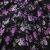 Плательная ткань "Фламенко" 20.1, 80 гр/м2, шир.150 см, принт растительный - купить в Элисте. Цена 241.49 руб.